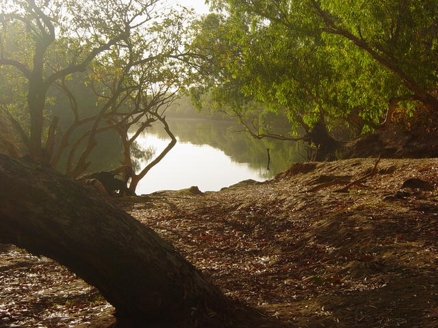 Fitzory River- Near Derby